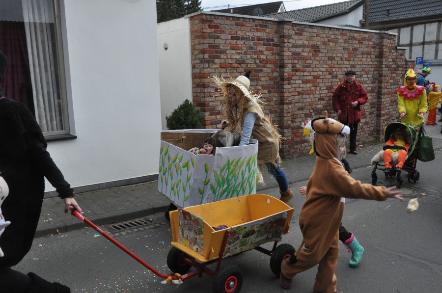 Foto Karnevalszug 2017