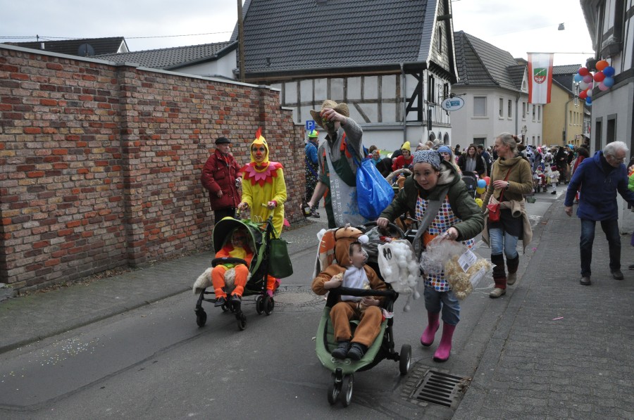 Foto Karnevalszug 2017