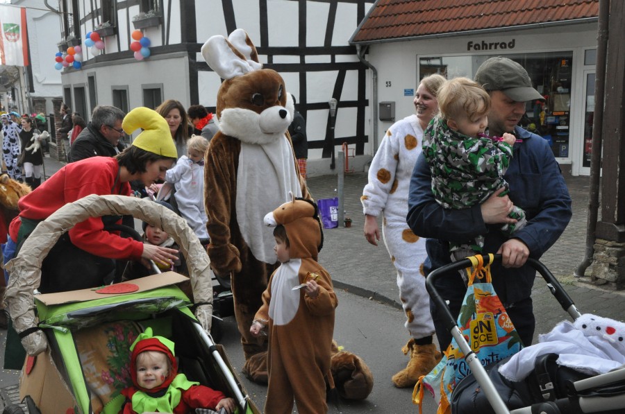 Foto Karnevalszug 2017