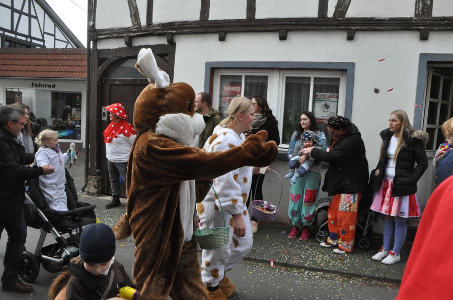 Foto Karnevalszug 2017