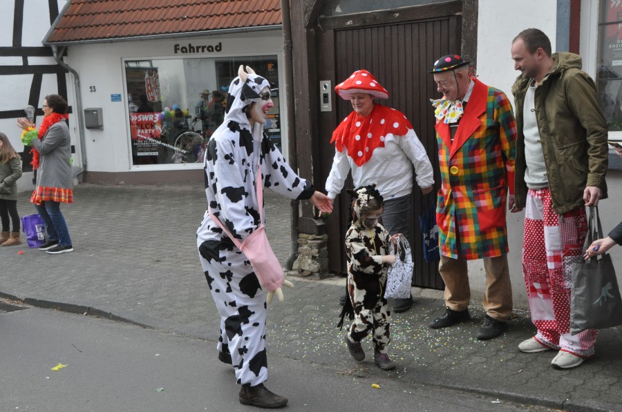 Foto Karnevalszug 2017
