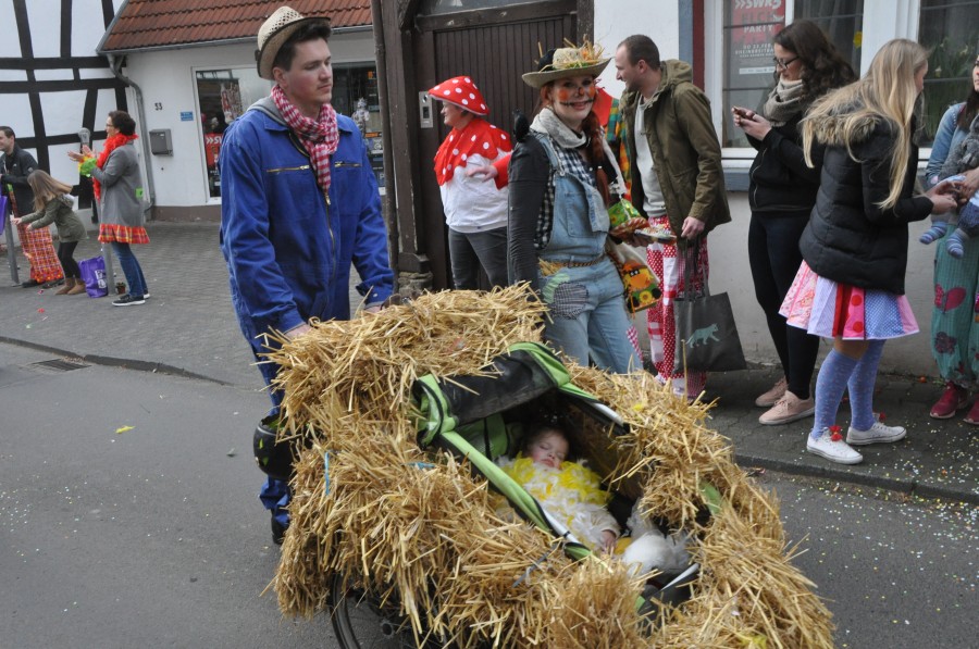 Foto Karnevalszug 2017