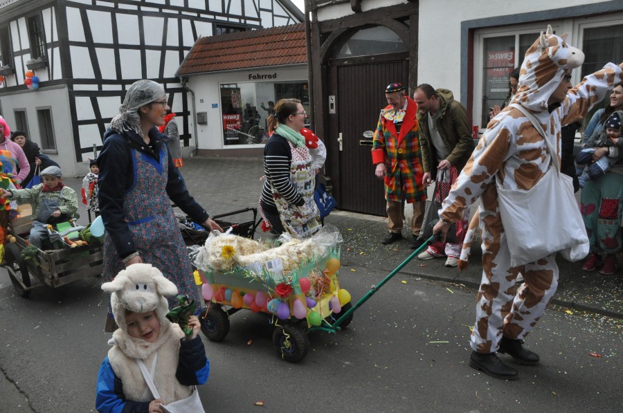 Foto Karnevalszug 2017