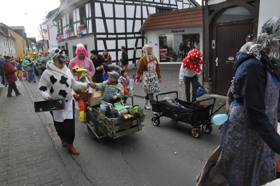 Foto Karnevalszug 2017