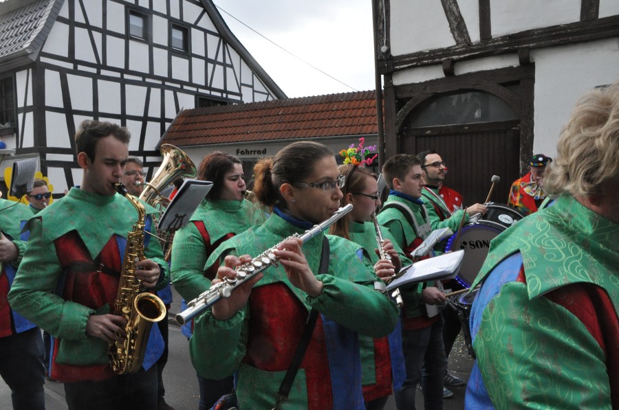 Foto Karnevalszug 2017