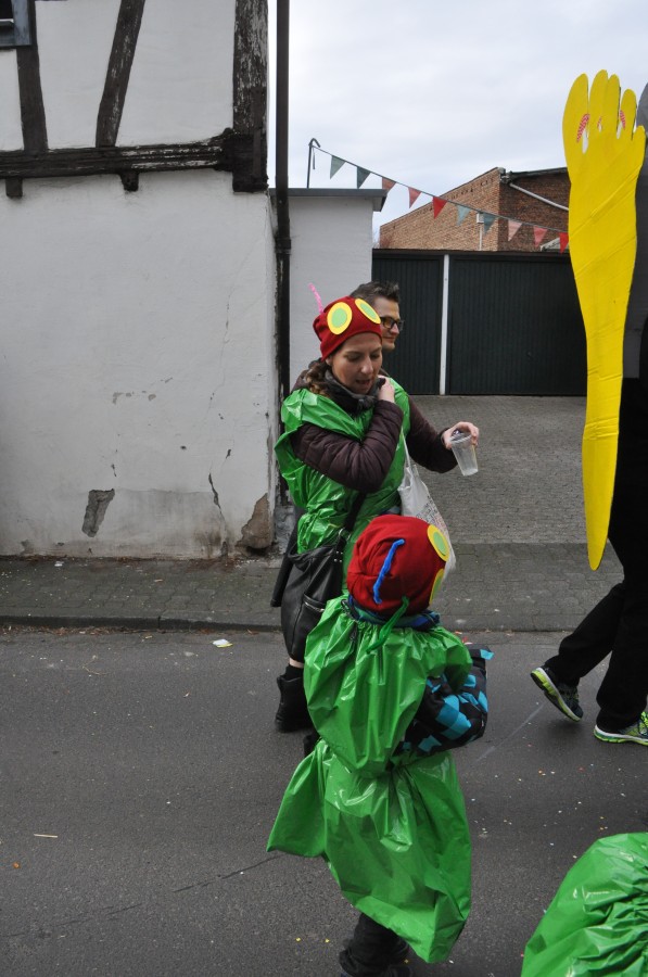 Foto Karnevalszug 2017
