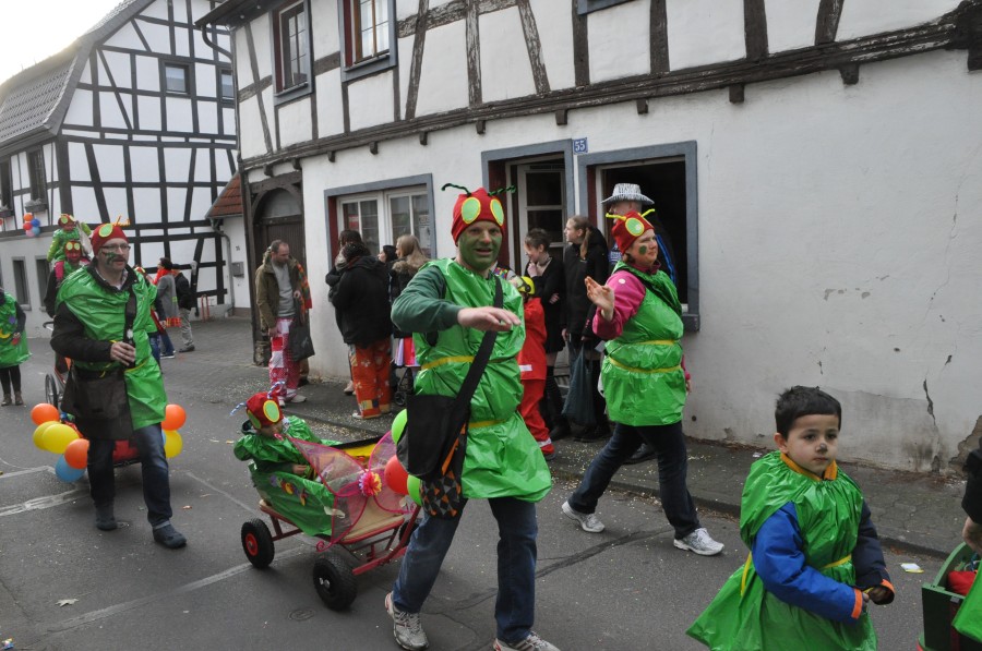 Foto Karnevalszug 2017