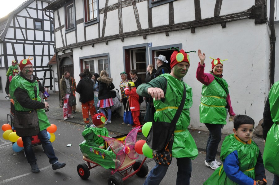 Foto Karnevalszug 2017