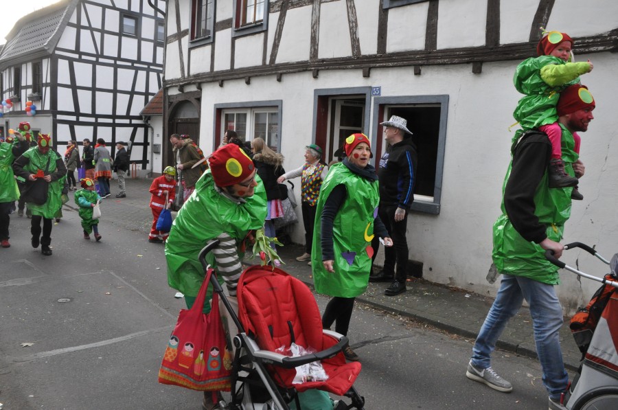 Foto Karnevalszug 2017