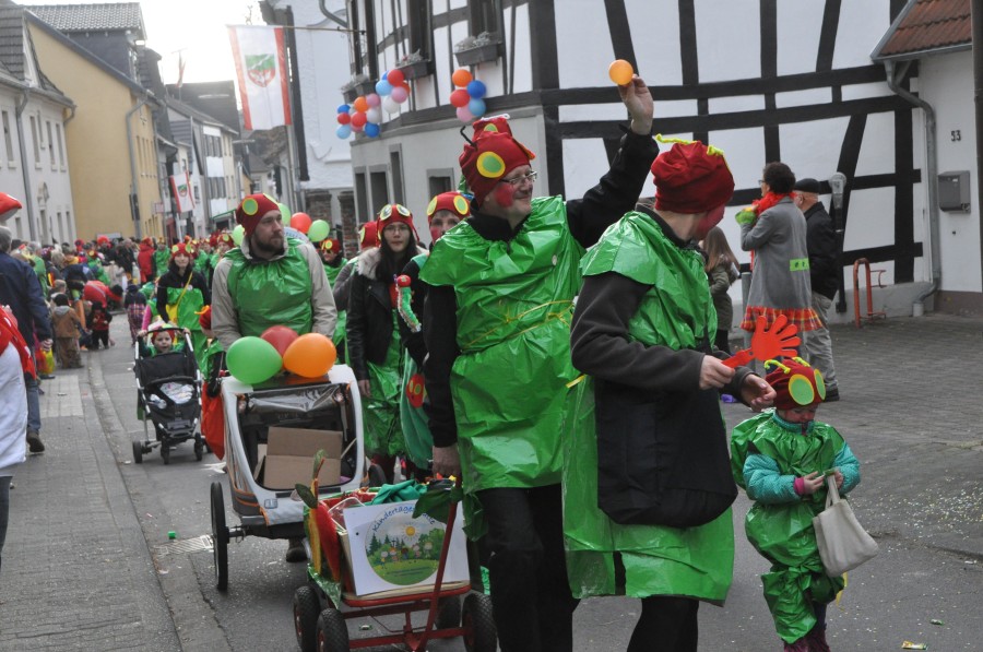 Foto Karnevalszug 2017