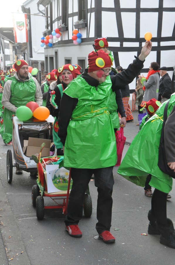 Foto Karnevalszug 2017