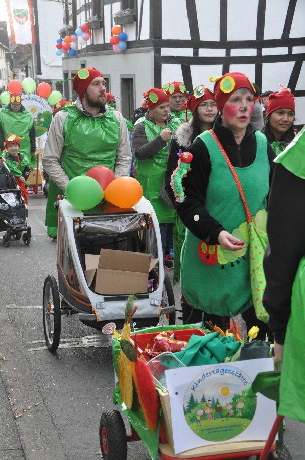 Foto Karnevalszug 2017