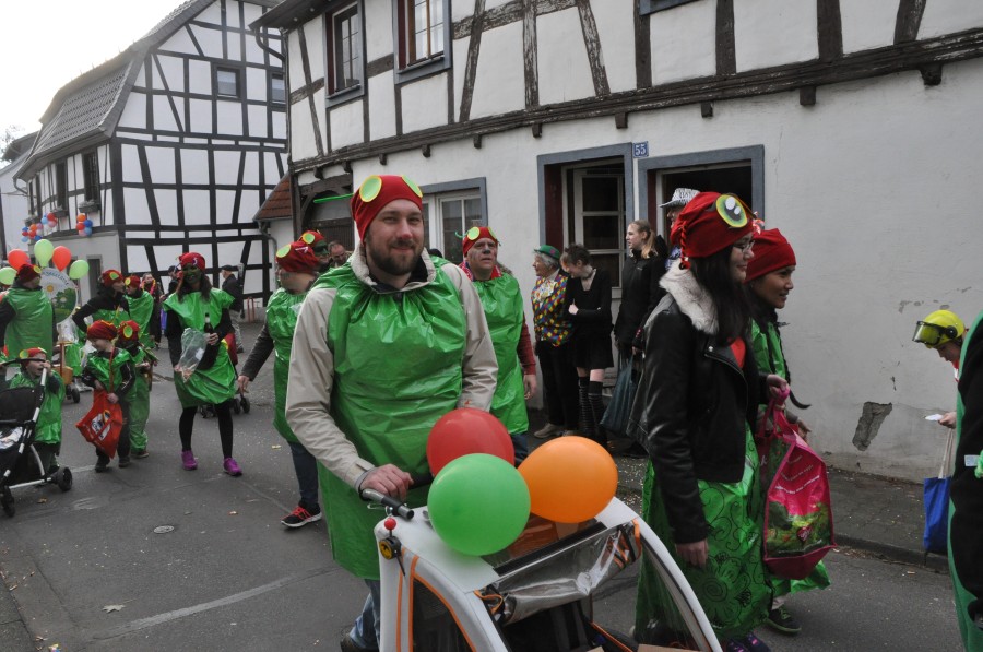 Foto Karnevalszug 2017
