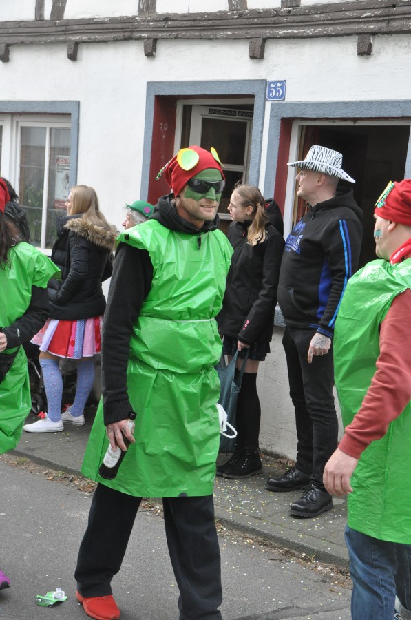 Foto Karnevalszug 2017