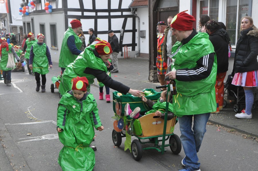 Foto Karnevalszug 2017