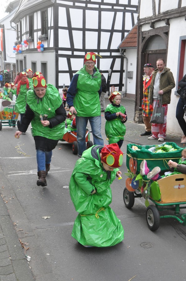 Foto Karnevalszug 2017