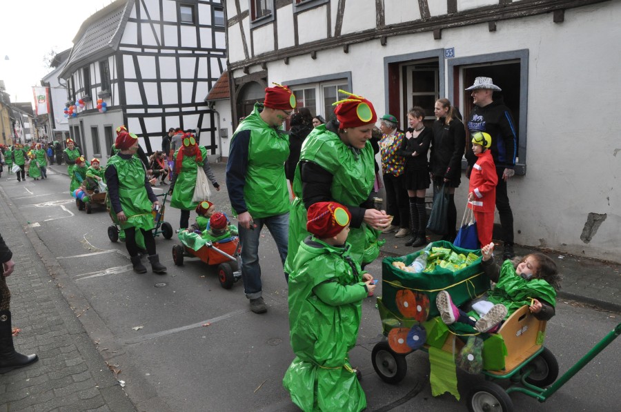 Foto Karnevalszug 2017