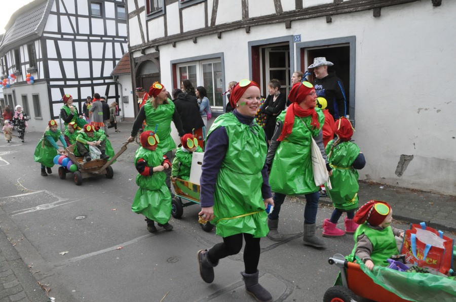 Foto Karnevalszug 2017