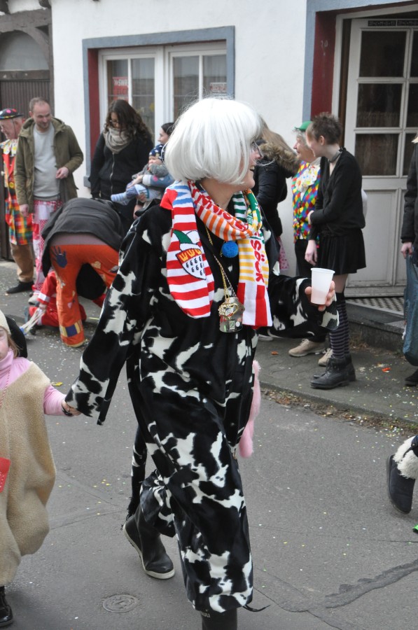 Foto Karnevalszug 2017