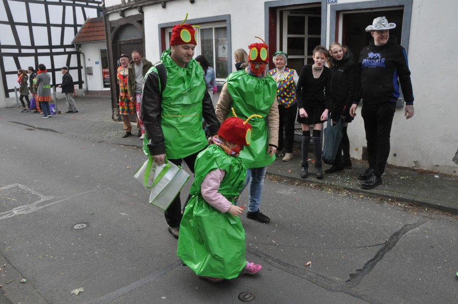 Foto Karnevalszug 2017