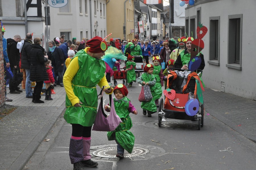 Foto Karnevalszug 2017