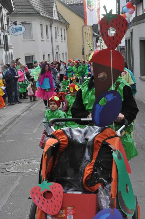 Foto Karnevalszug 2017