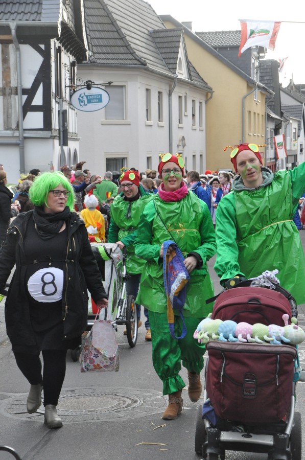 Foto Karnevalszug 2017