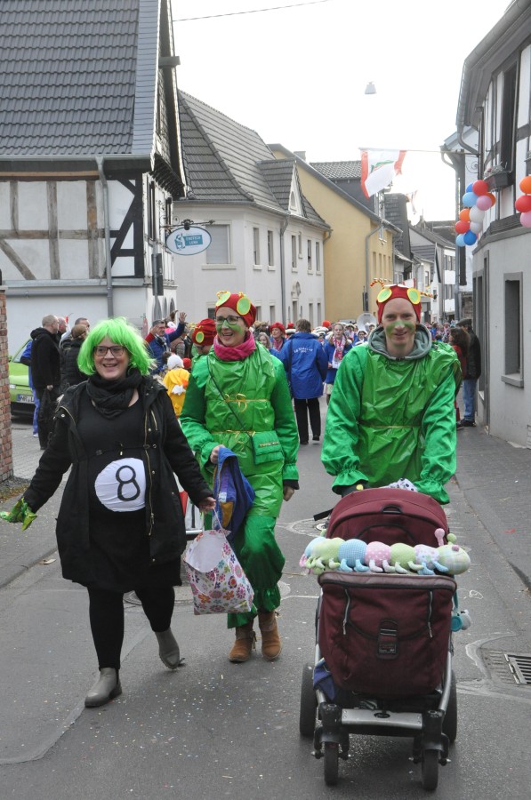 Foto Karnevalszug 2017
