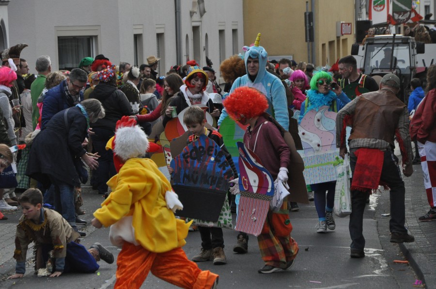 Foto Karnevalszug 2017