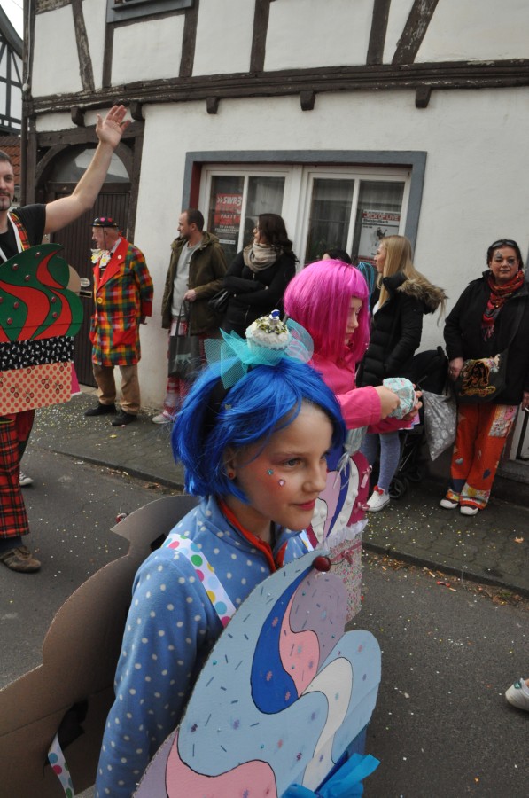 Foto Karnevalszug 2017