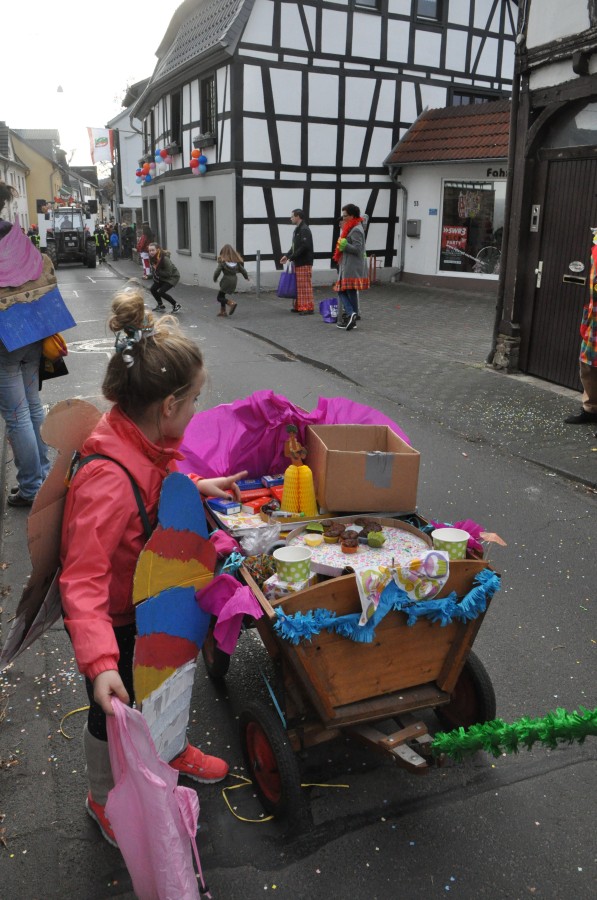 Foto Karnevalszug 2017