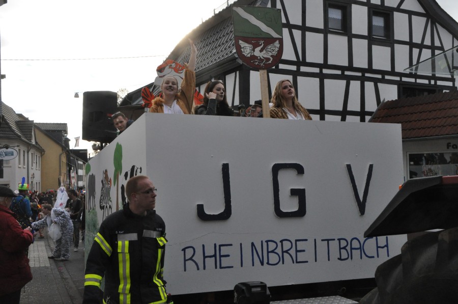 Foto Karnevalszug 2017