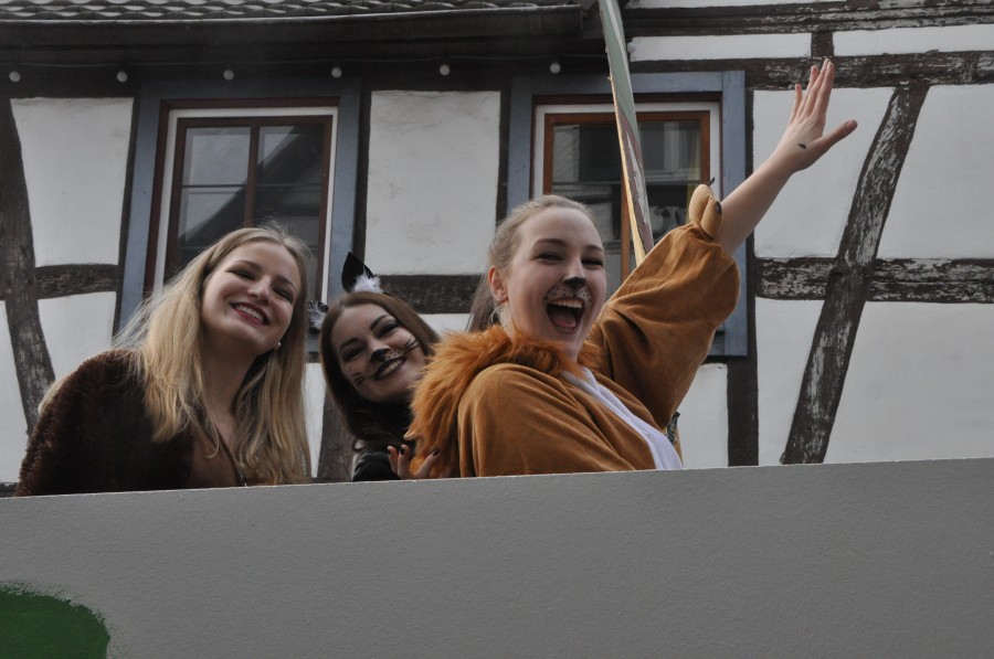 Foto Karnevalszug 2017