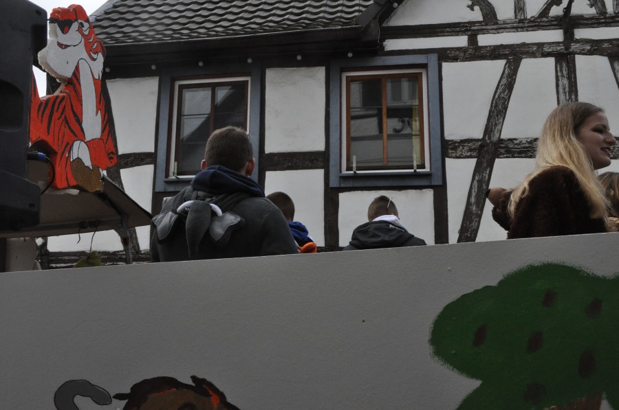 Foto Karnevalszug 2017