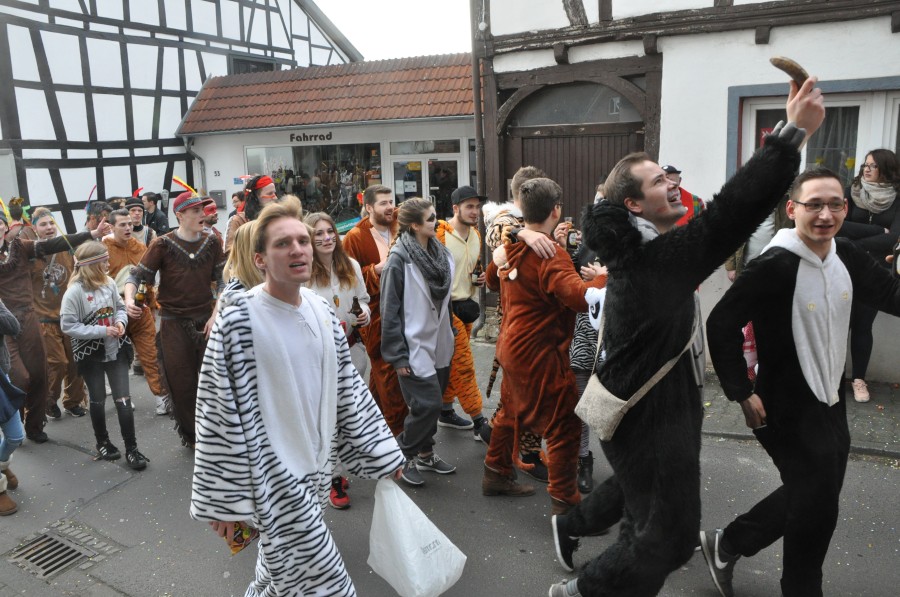 Foto Karnevalszug 2017