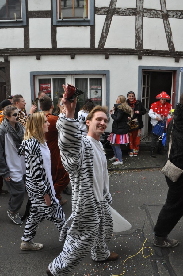 Foto Karnevalszug 2017