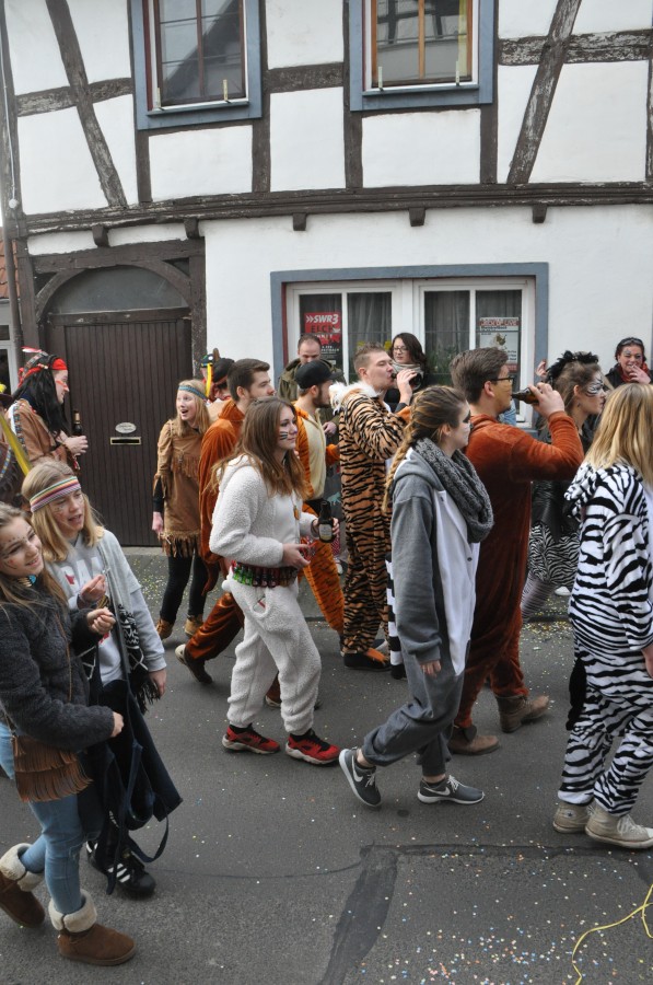 Foto Karnevalszug 2017