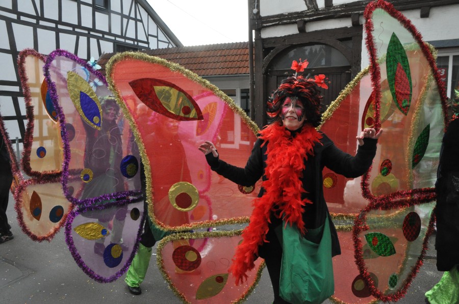 Foto Karnevalszug 2017