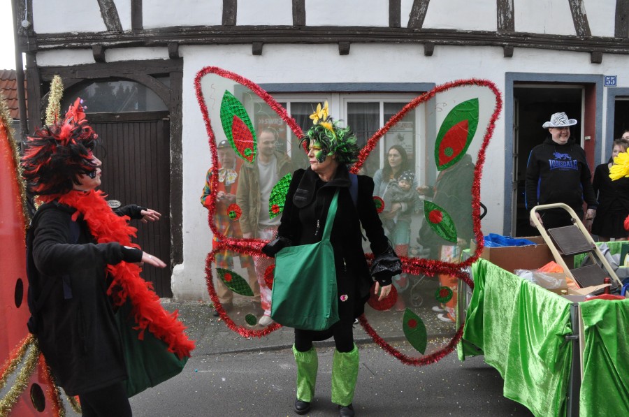 Foto Karnevalszug 2017