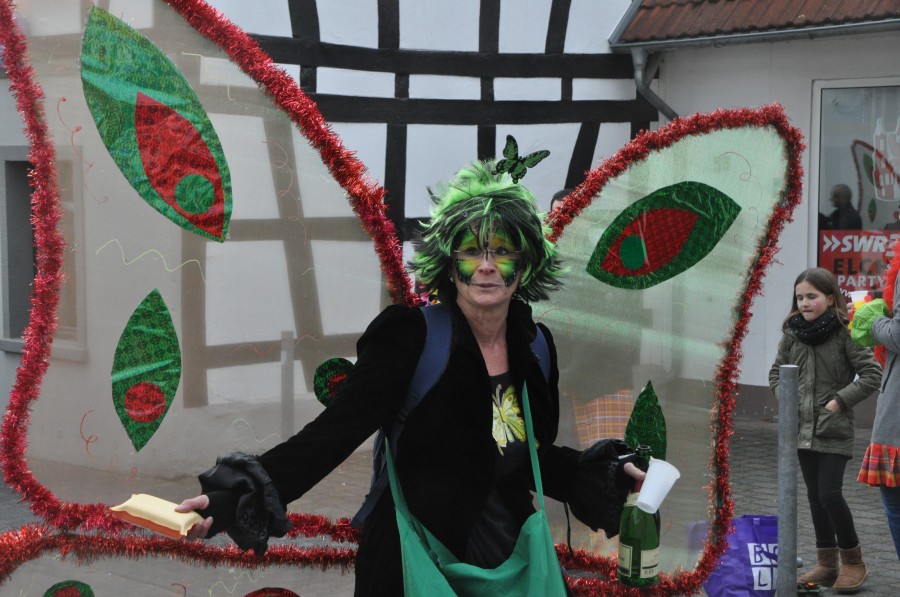 Foto Karnevalszug 2017