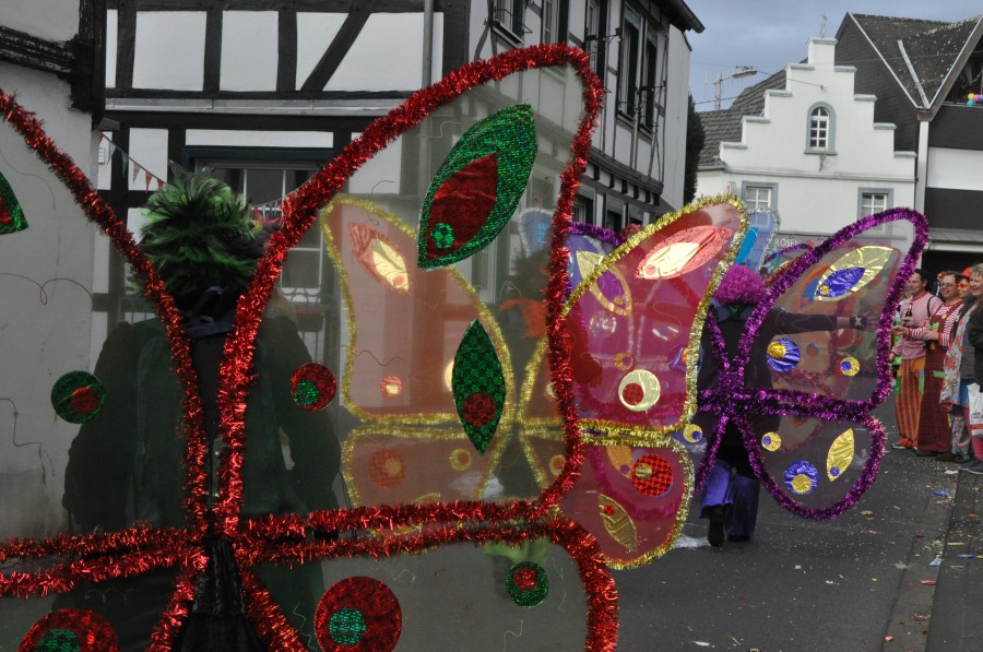 Foto Karnevalszug 2017