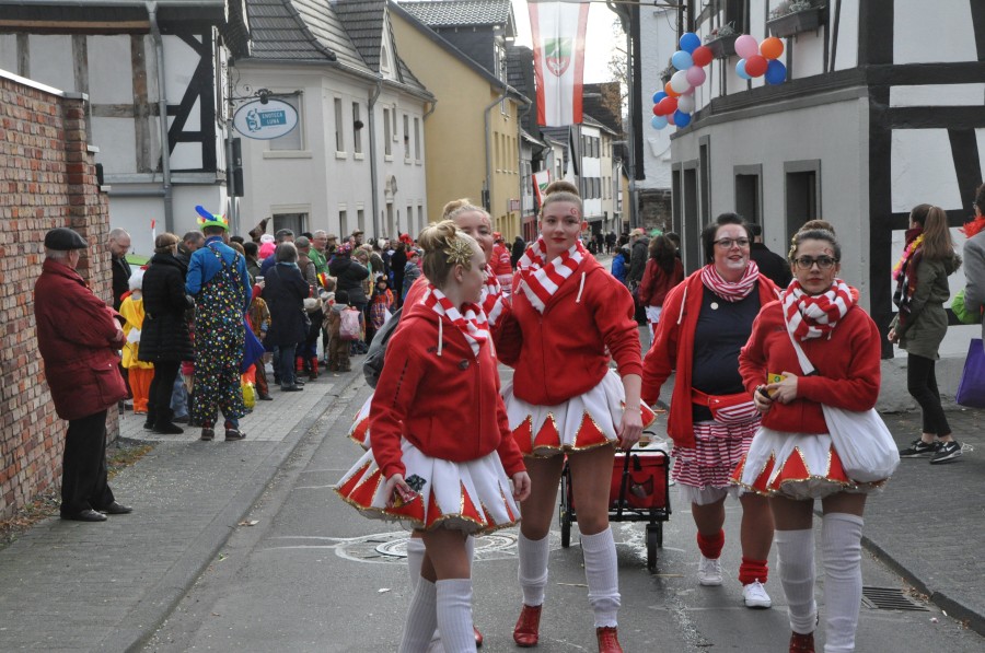 Foto Karnevalszug 2017