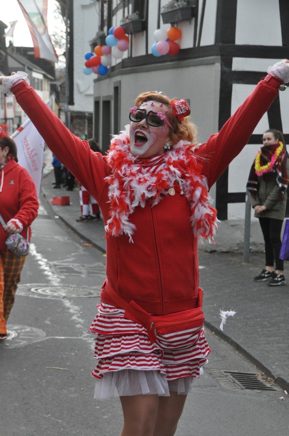 Foto Karnevalszug 2017