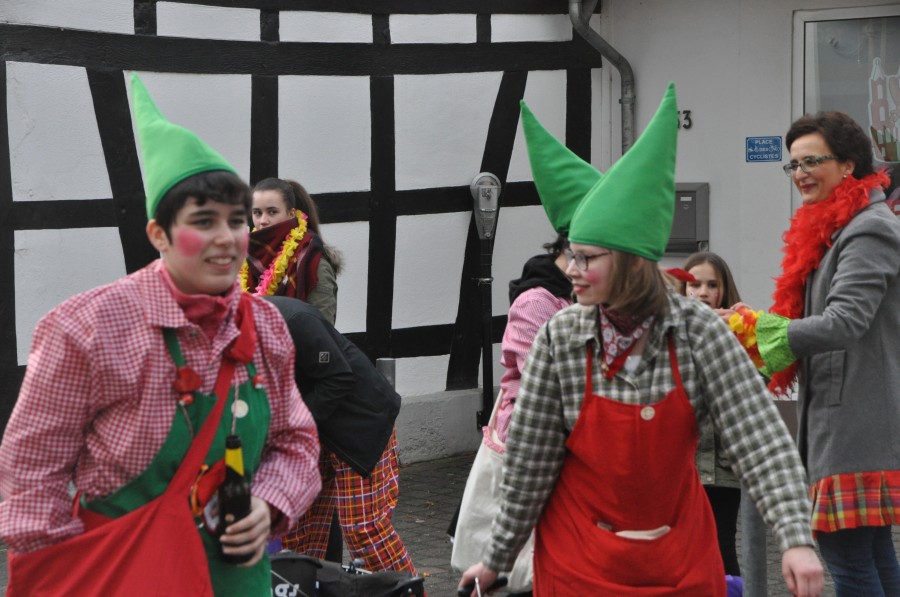 Foto Karnevalszug 2017