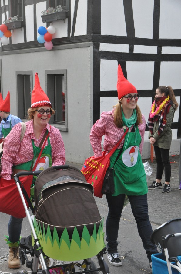 Foto Karnevalszug 2017