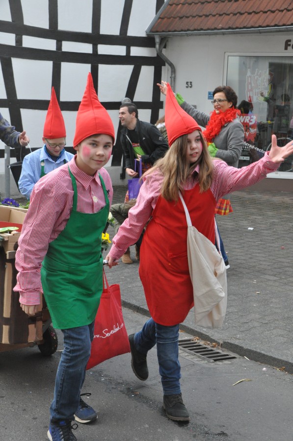 Foto Karnevalszug 2017