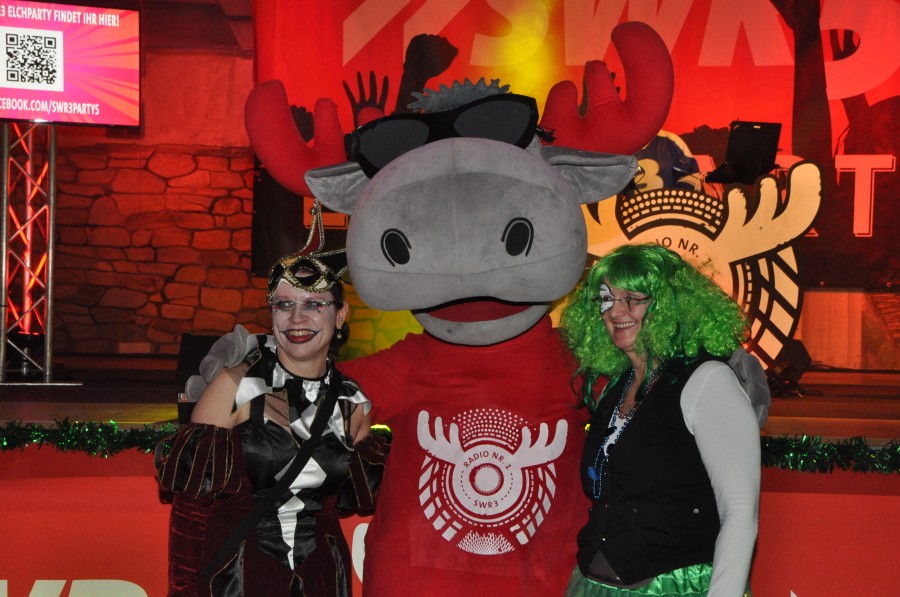 Foto SWR3 ElchParty 2018