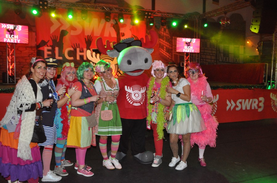 Foto SWR3 ElchParty 2018