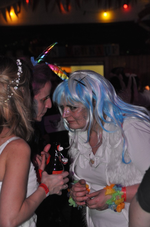 Foto SWR3 ElchParty 2018