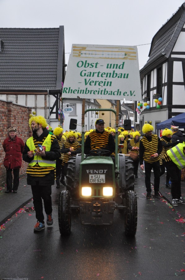 Foto Karnevalszug 2018
